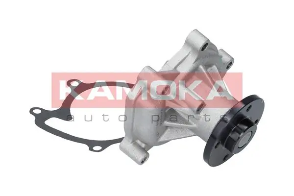 Water Pump, engine cooling T0269