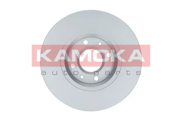 Brake Disc 1032304