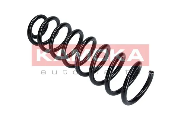 Suspension Spring 2110187