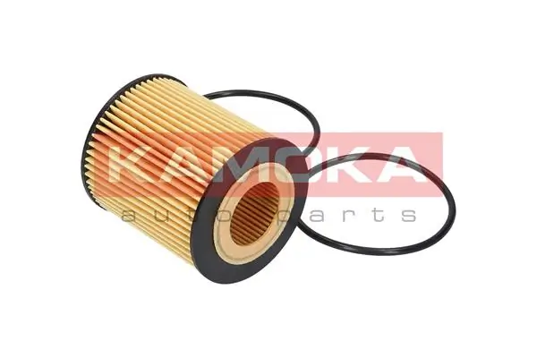 Oil Filter F107501