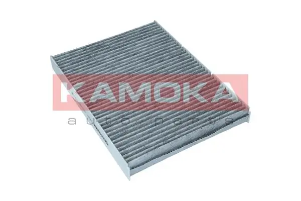 Filter, cabin air F500401
