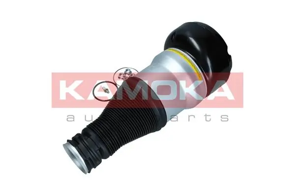 Air Spring, suspension 2079058