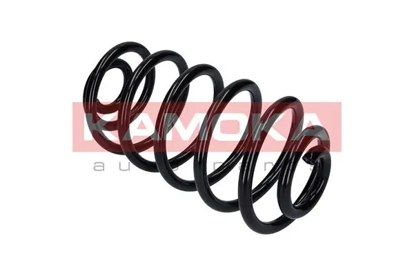 Suspension Spring 2120187