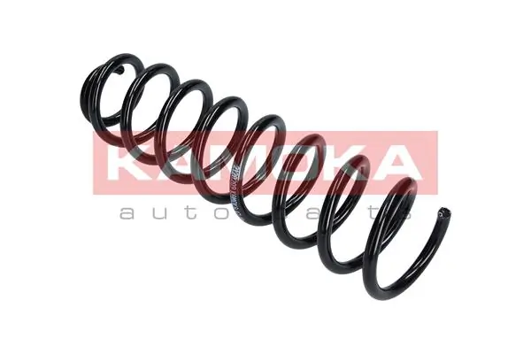 Suspension Spring 2120209