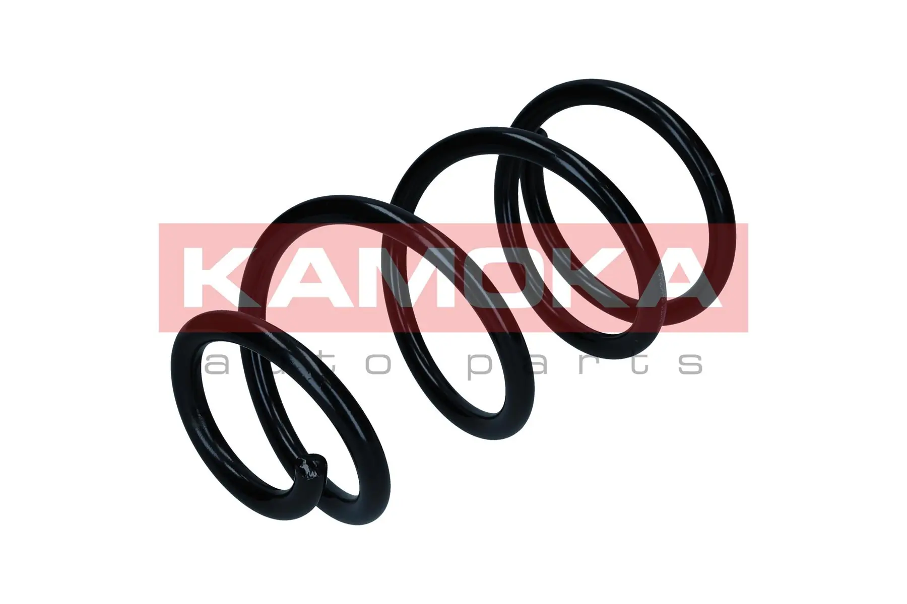 Suspension Spring 2110513