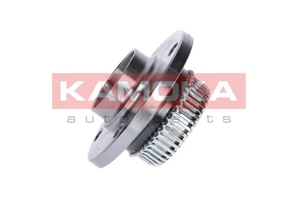 Wheel Bearing Kit 5500071