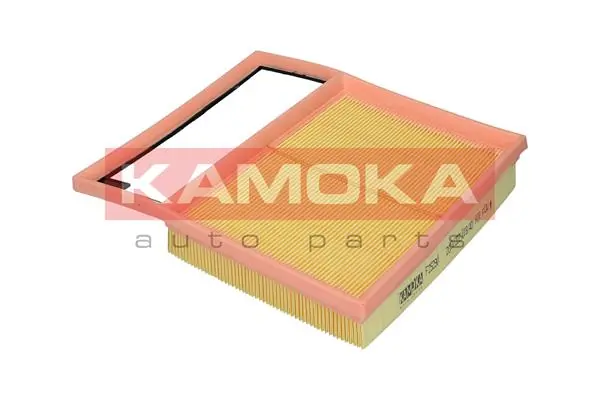 Air Filter F252901