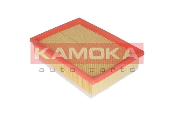 Air Filter F218501