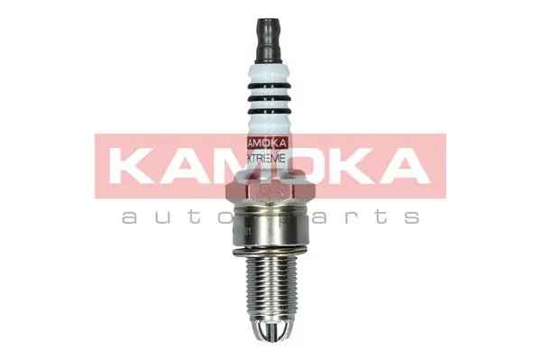Spark Plug 7100511