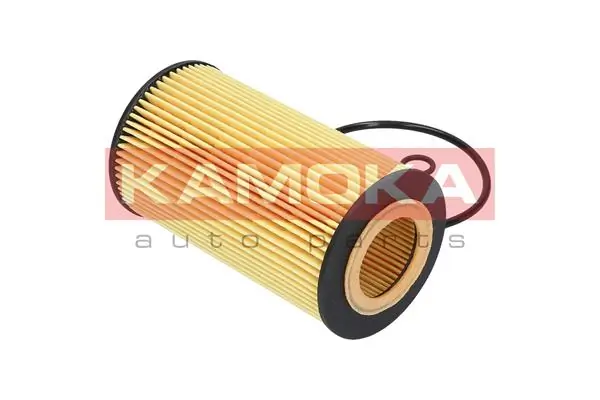 Oil Filter F108001