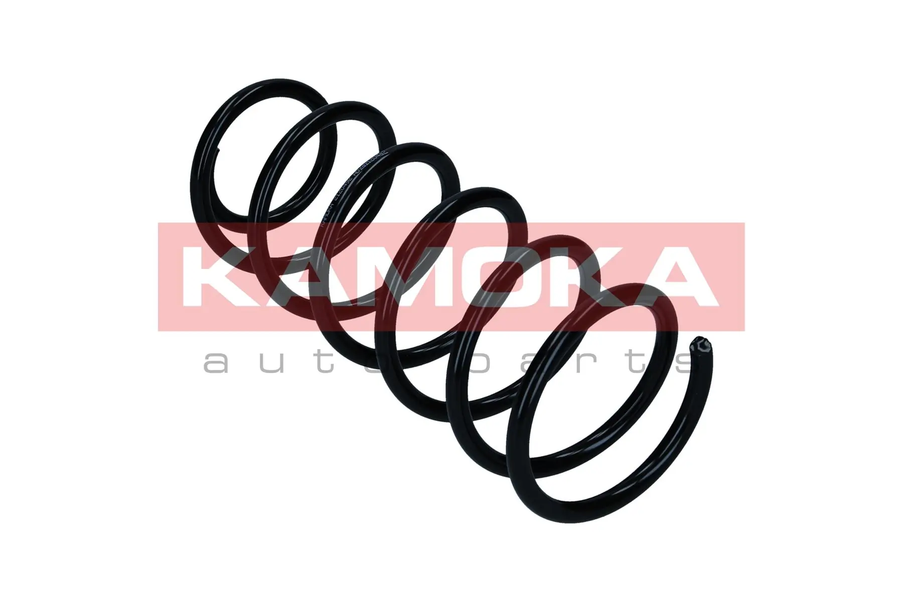 Suspension Spring 2120492