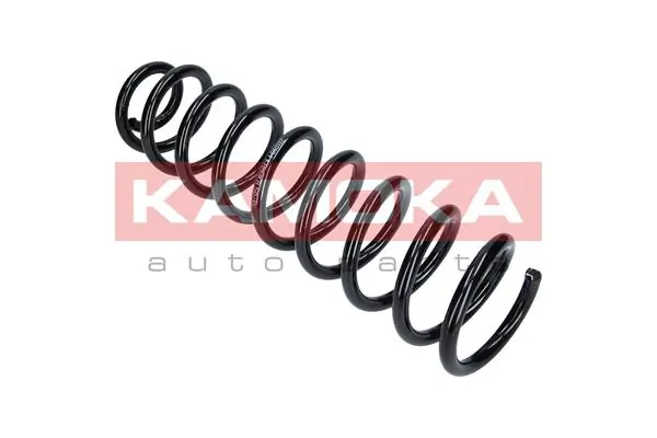 Suspension Spring 2110184