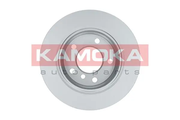 Brake Disc 1031662