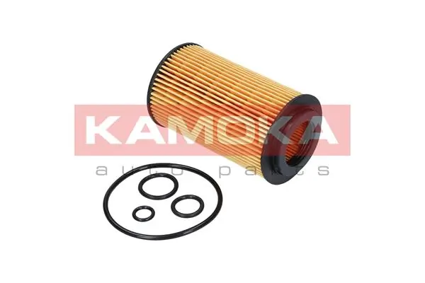 Oil Filter F108501