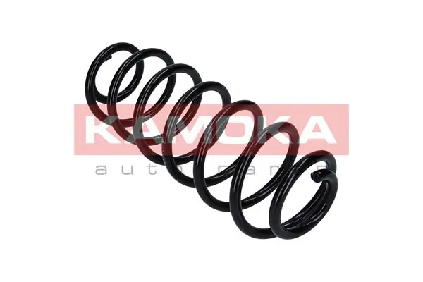 Suspension Spring 2120180