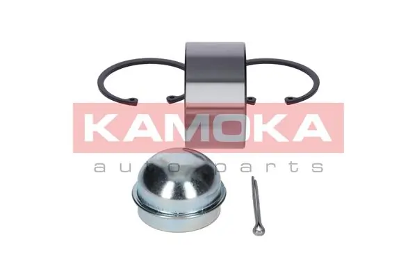 Wheel Bearing Kit 5600042