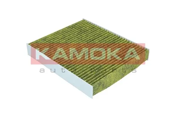 Filter, cabin air 6080088