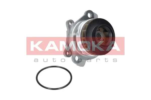 Water Pump, engine cooling T0222