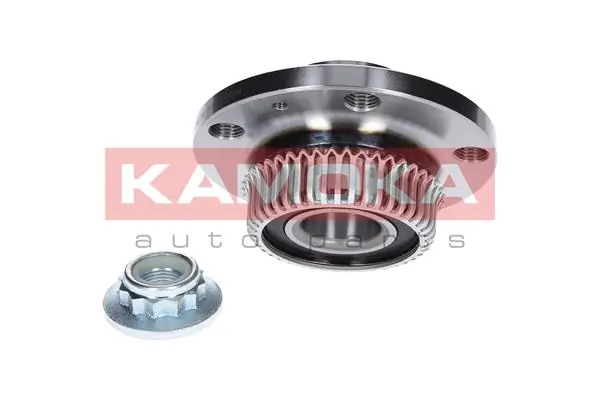 Wheel Bearing Kit 5500033