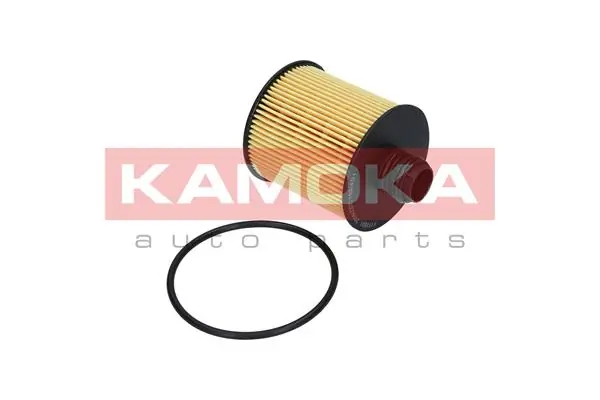 Oil Filter F111801