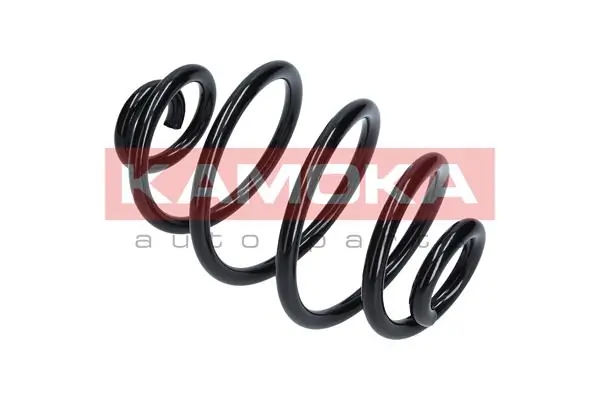 Suspension Spring 2120210