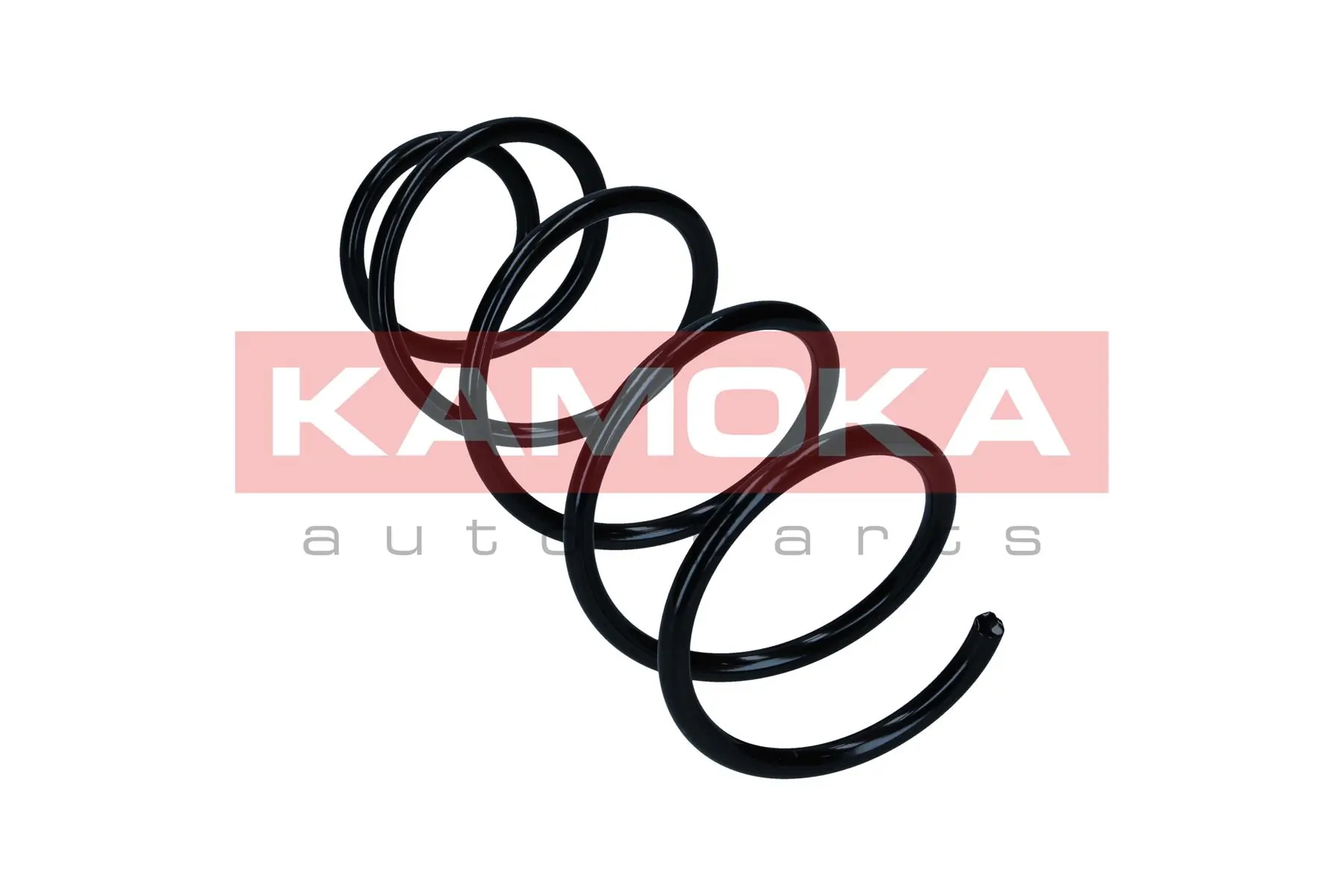 Suspension Spring 2110410