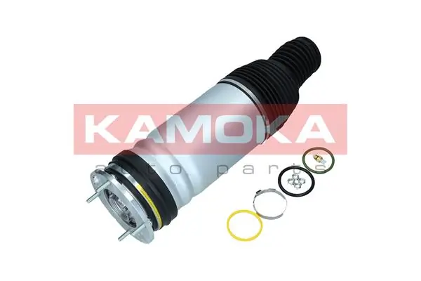 Air Spring, suspension 2079035