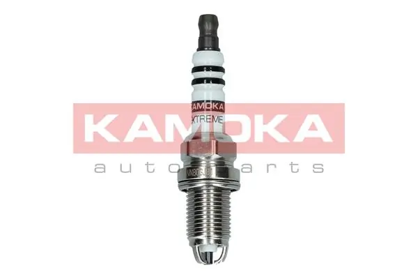 Spark Plug 7100510