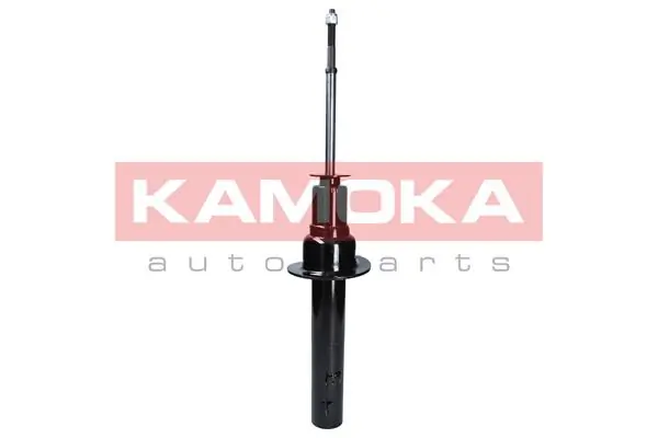 Shock Absorber 2000027