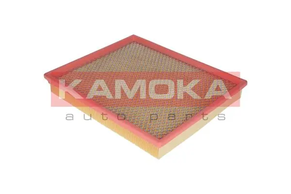 Air Filter F212001
