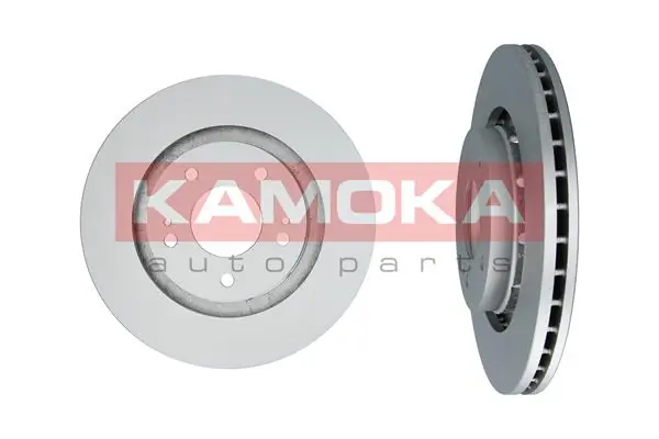 Brake Disc 1031014
