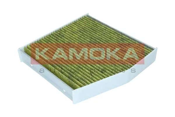 Filter, cabin air 6080084
