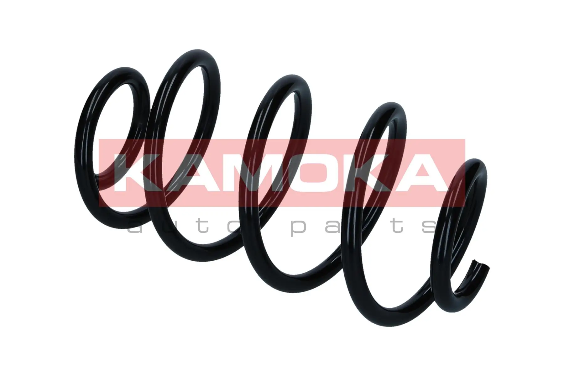 Suspension Spring 2120515