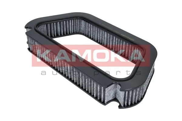 Filter, cabin air F503201