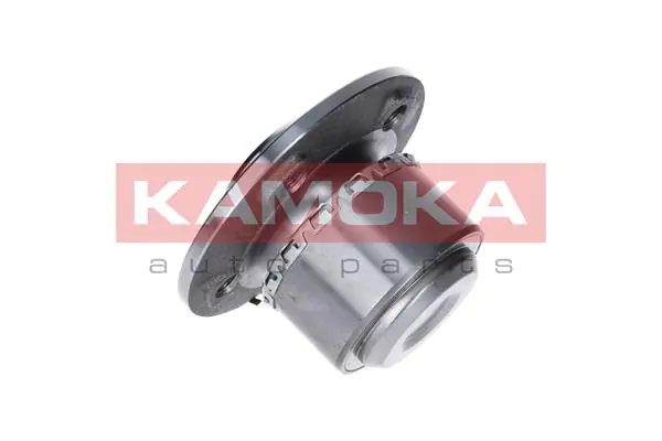 Wheel Bearing Kit 5500136
