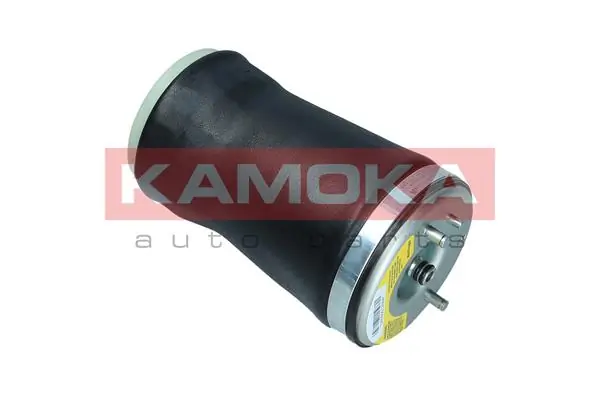 Air Spring, suspension 2079028