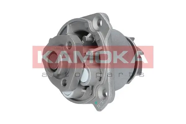 Water Pump, engine cooling T0256