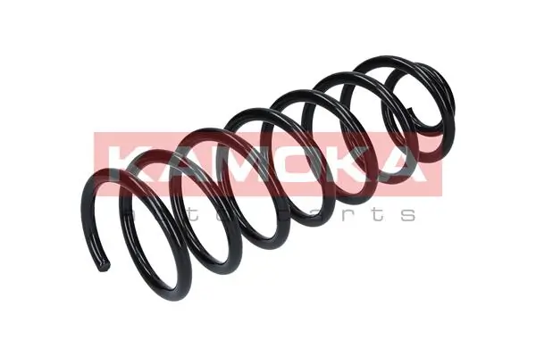 Suspension Spring 2120070