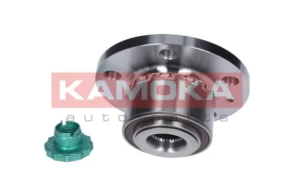 Wheel Bearing Kit 5500063