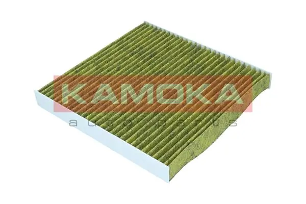 Filter, cabin air 6080171