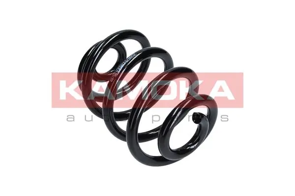 Suspension Spring 2120075