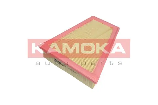 Air Filter F218801