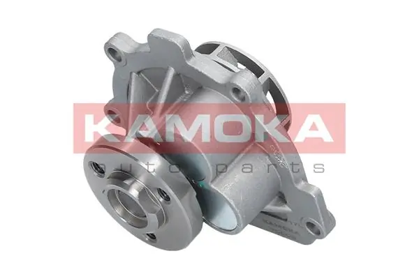 Water Pump, engine cooling T0008