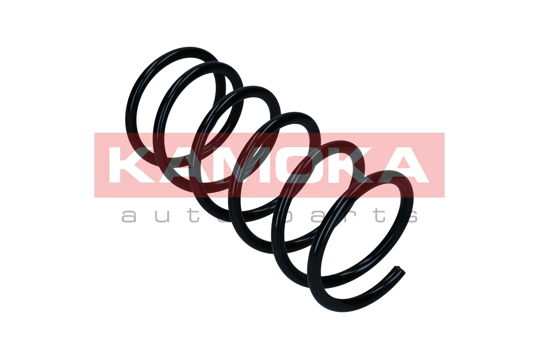 Suspension Spring 2110585