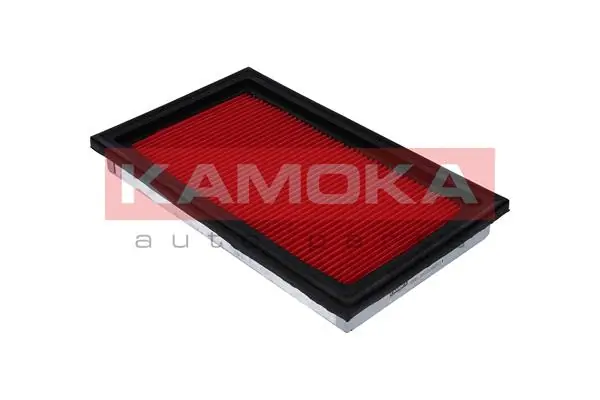 Air Filter F205301
