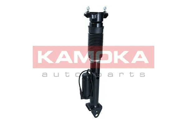Air Suspension Strut 2070018