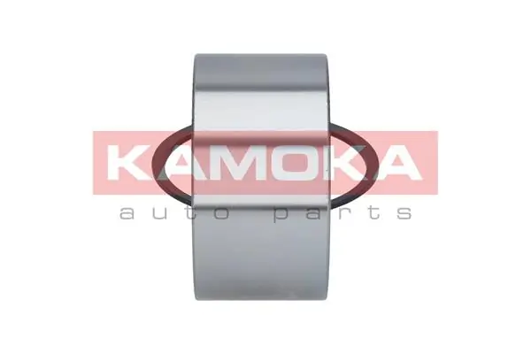 Wheel Bearing Kit 5600138