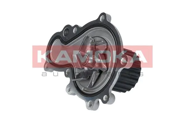 Water Pump, engine cooling T0194