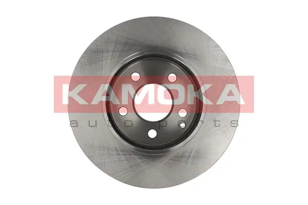 Brake Disc 1031071