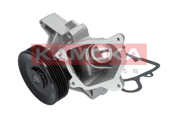 Water Pump, engine cooling T0220